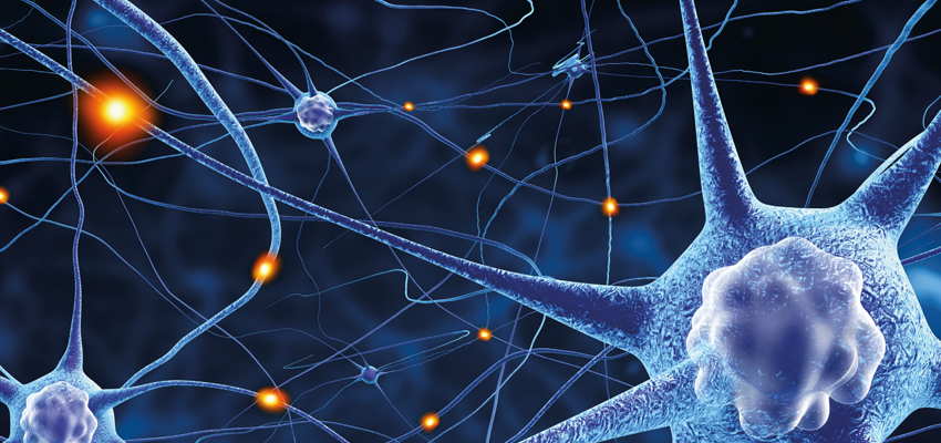 A importância da Avaliação Neuropsicológica para o diagnóstico